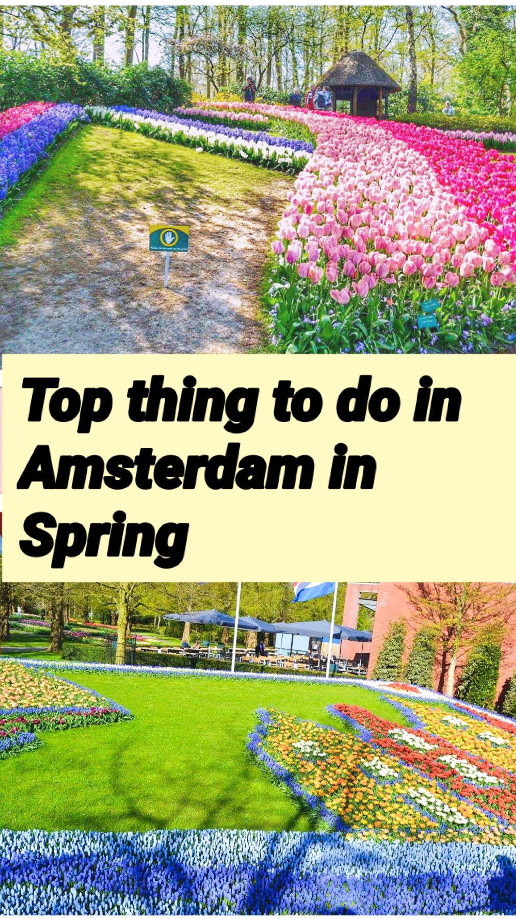 Top thing to do in Amsterdam in Spring