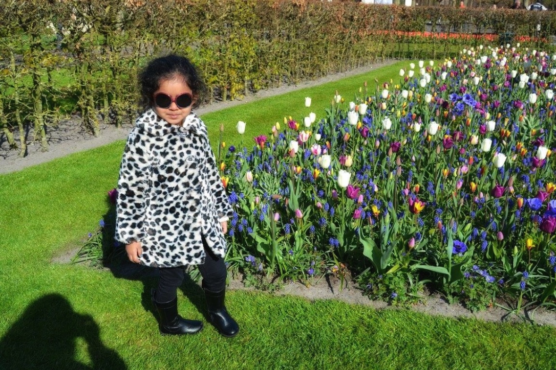 How to visit Keukenhof on a layover