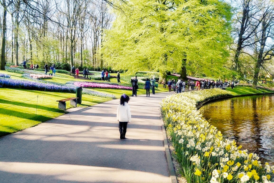 How to visit Keukenhof on a layover